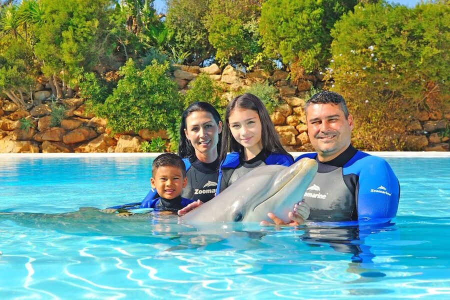 Algarve Zoomarine Ticket and Dolphin Emotions Experience - Meeting the dolphins at Zoomarine Algarve