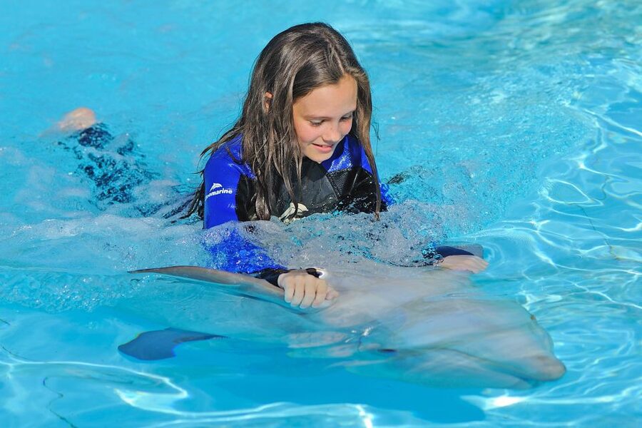 Algarve Zoomarine Ticket and Dolphin Emotions Experience - The trainers make the biggest difference