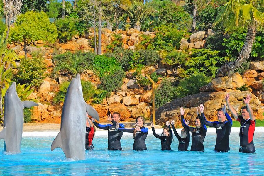 Algarve Zoomarine Ticket and Dolphin Emotions Experience - Timing, arrival, and a sensible day plan