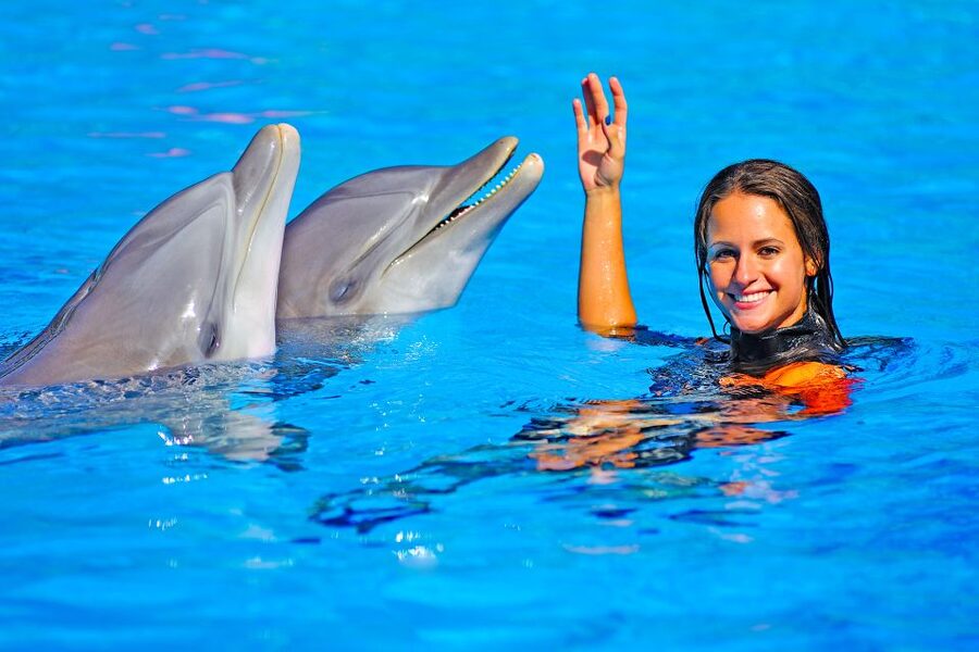 Algarve Zoomarine Ticket and Dolphin Emotions Experience - Age, swimming, and health rules