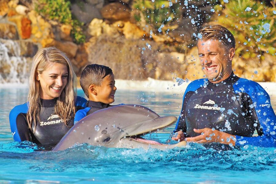 Algarve Zoomarine Ticket and Dolphin Emotions Experience - Who will enjoy this most?