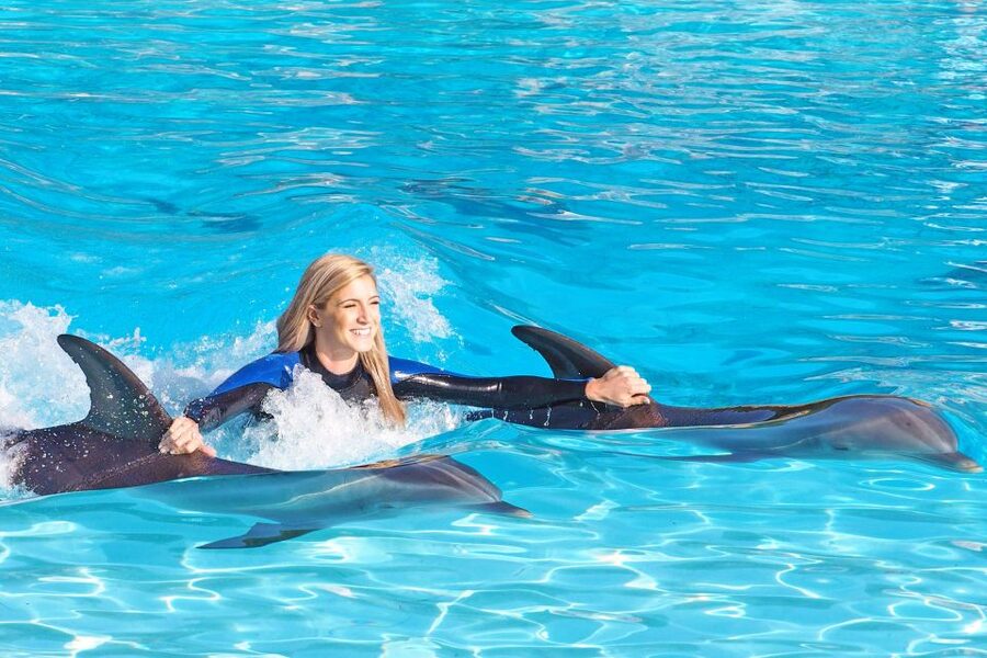 Algarve Zoomarine Ticket and Dolphin Emotions Experience - What the Encounter and Exclusive packages include