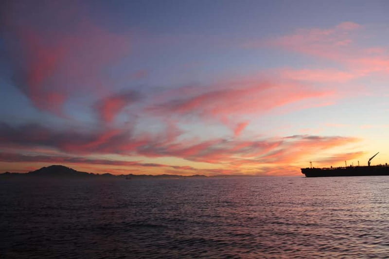 Algeciras: Dolphin and whale watching in reduced groups - Booking, cancellation, and language details