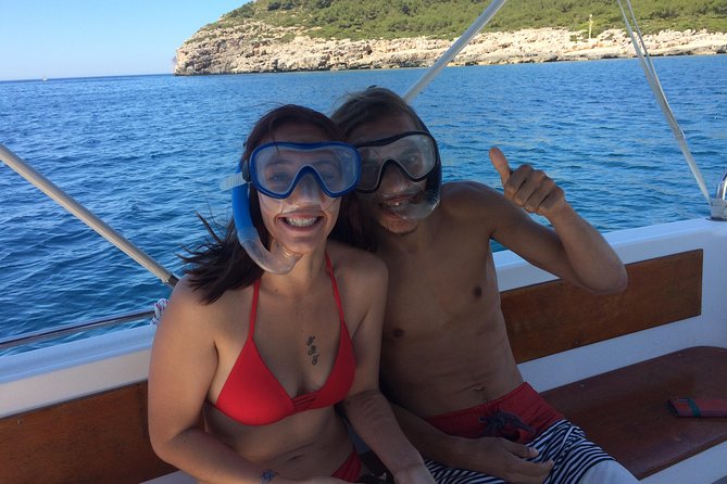 Alghero - Dolphin Watching and Guided Snorkeling (summer tour) - Is $78.64 a fair price?