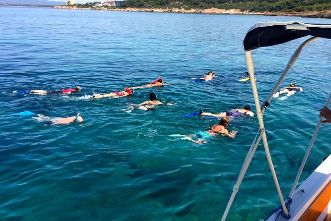 Alghero - Dolphin Watching and Guided Snorkeling (summer tour) - Who should book this summer boat trip