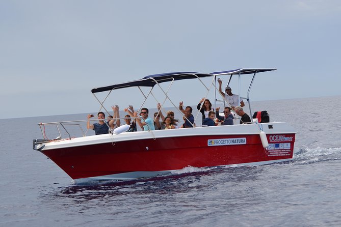 Alghero - Dolphin Watching (Spring & Autumn Tour) - The briefing: dolphins before the first sighting