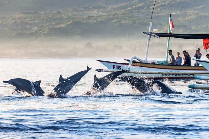 All inclusive Lovina Dolphins Sunrise tour, Waterfall & Temple - What the guide adds to the day