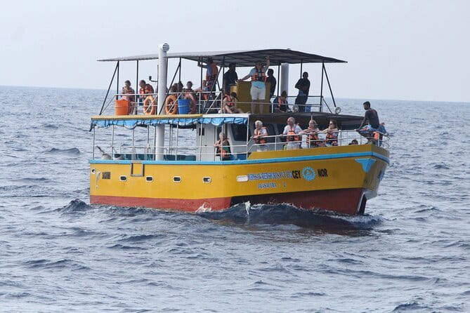 All Inclusive Mirissa Whale and Dolphin Watching Boat Ride - At a glance