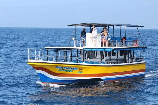 All Inclusive Mirissa Whale and Dolphin Watching Boat Ride - How to make the wildlife search better