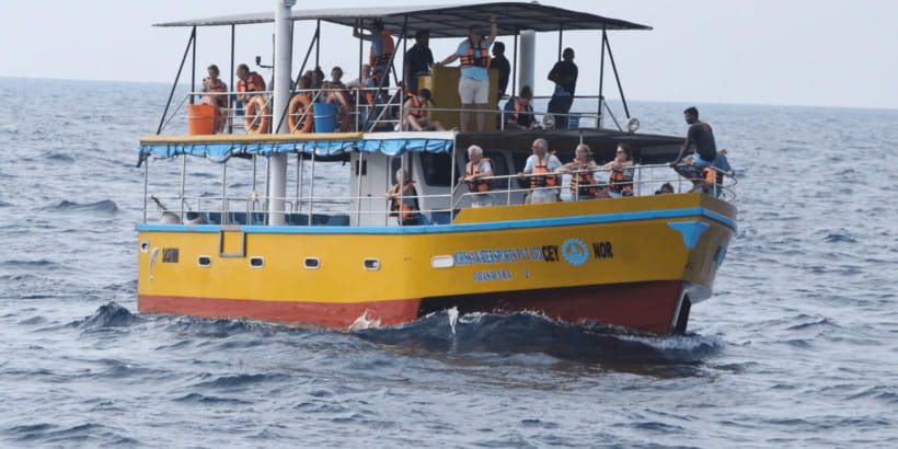 All Inclusive Mirissa Whale & Dolphin Watching + Snorkeling - Five things to know before booking