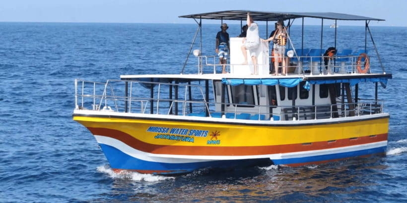 All Inclusive Mirissa Whale & Dolphin Watching + Snorkeling - Dolphins and marine life from the boat