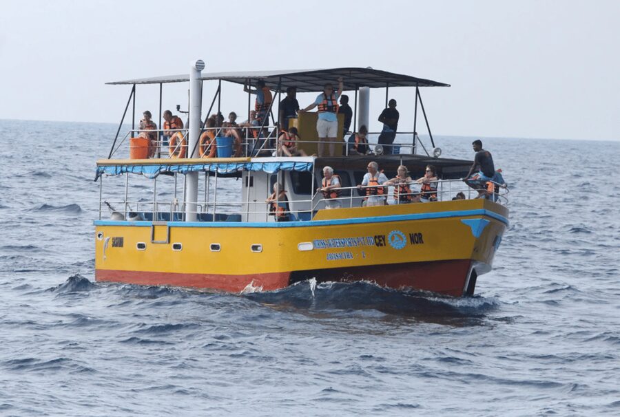 All Inclusive Mirissa Whale & Dolphin Watching + Snorkeling - Who will enjoy this day most?
