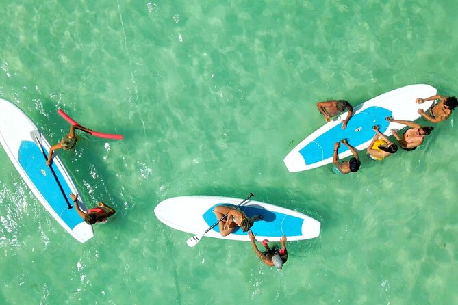 All-Inclusive Sandbar Safari with Dolphin Playground Encounter - Lunch, drinks, and the all-inclusive value