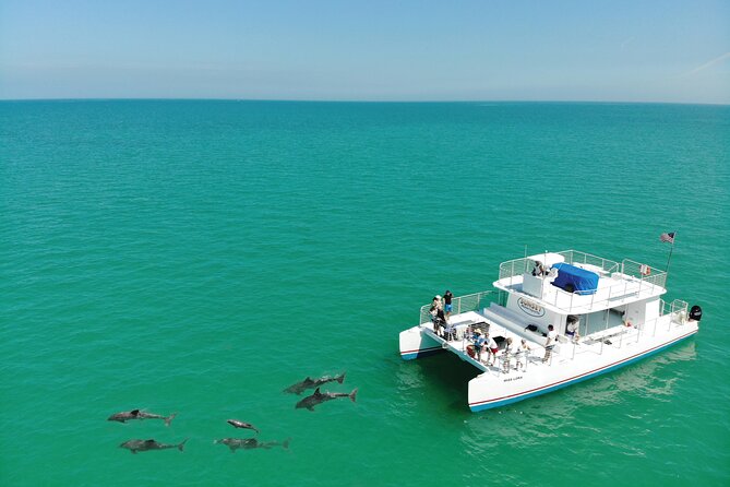 All-Inclusive Sandbar Safari with Dolphin Playground Encounter - Booking tips for a smoother day