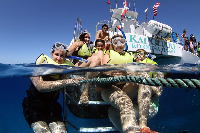 All-Inclusive Sunset Dolphin Watch and Snorkeling Cruise - Key points to know before booking