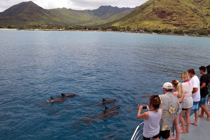 All-Inclusive Sunset Dolphin Watch and Snorkeling Cruise - A hot Hawaiian-style buffet after the water