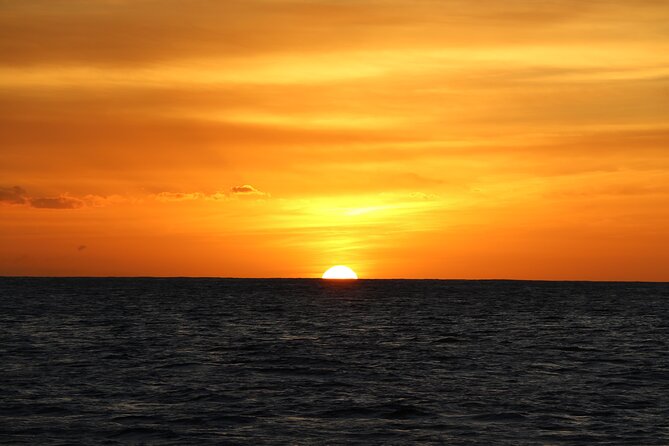 All-Inclusive Sunset Dolphin Watch and Snorkeling Cruise - What the $169 price really covers