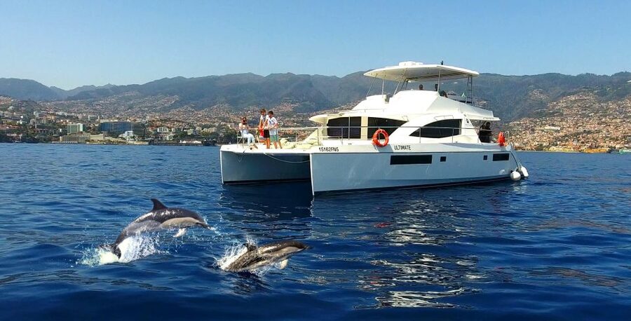 All Inclusive Whale and Dolphin Watching Luxury Tour - Key points before you book