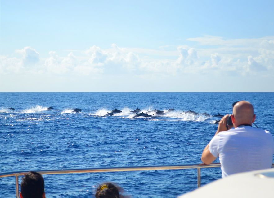 All Inclusive Whale and Dolphin Watching Luxury Tour - Wildlife watching with room to breathe