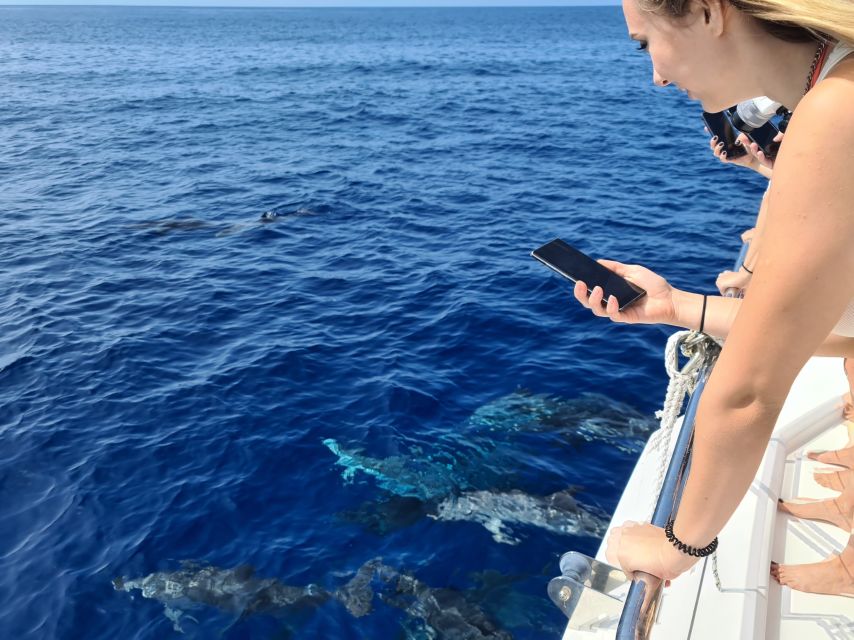 All Inclusive Whale and Dolphin Watching Luxury Tour - Service that feels personal, not staged