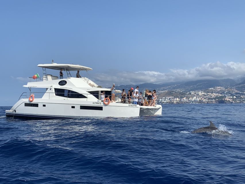 All Inclusive Whale and Dolphin Watching Luxury Tour - The hidden stop and the first break