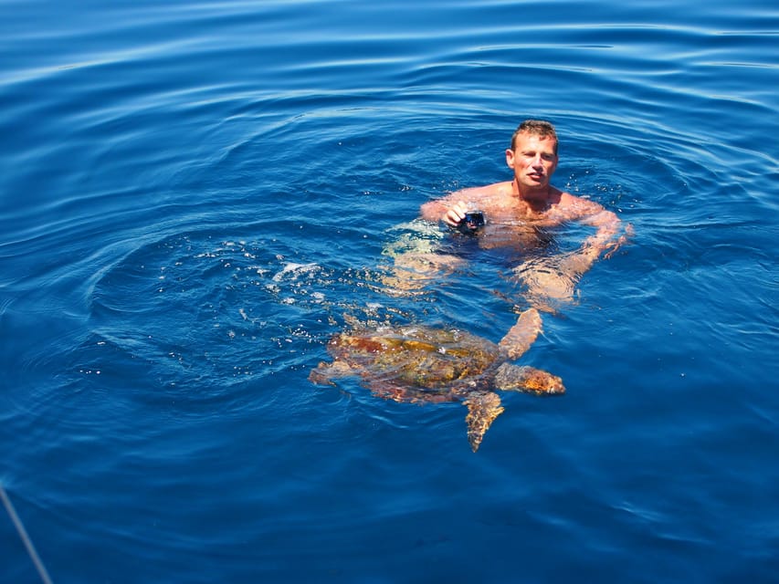 Always private 4 hour - Sail- dolphin Yacht Charter-paddle - Swimming, snorkeling, and the paddle board