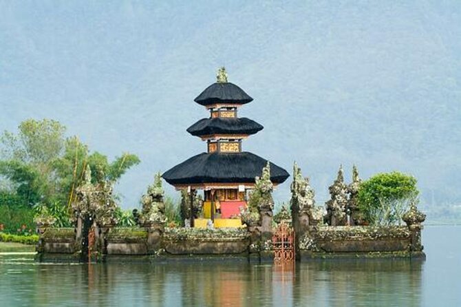 Amazing Bali Dolphin Watching Trip Experience - Key points to know before booking