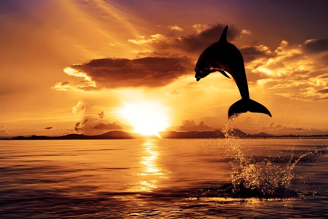 Amazing Bali Dolphin Watching Trip Experience - Tamblingan Lake and Bali’s highland farming country