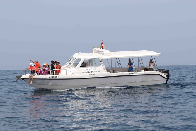 Amazing Dolphin Watching Tour In Muscat - What the trip is like for families
