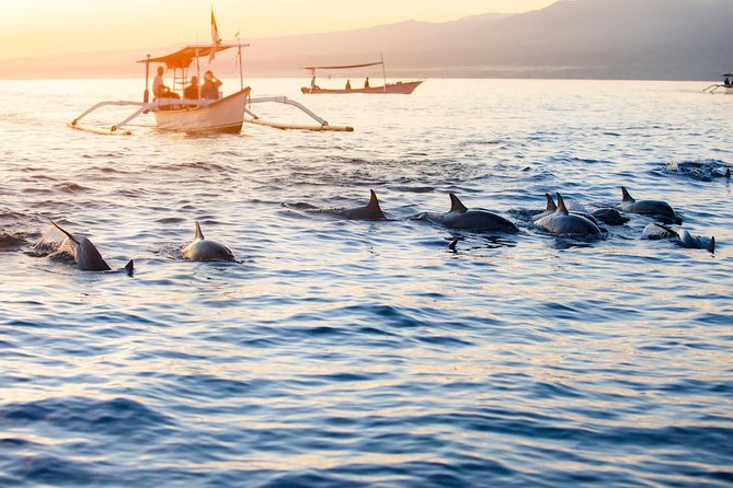 Amazing Private Tours: Dolphins Lovina and Gitgit Waterfall include Lunch - The 2:30 am pickup from Nusa Dua