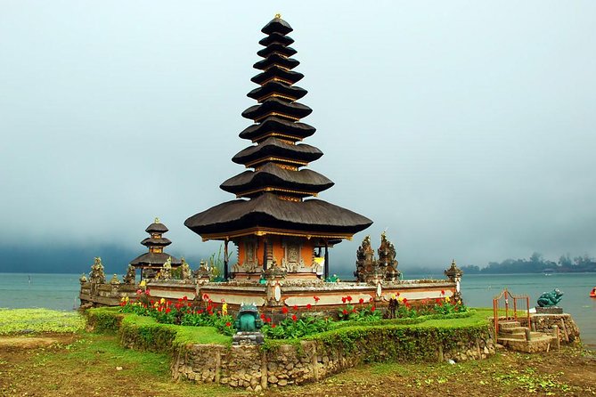 Amazing Private Tours: Dolphins Lovina and Gitgit Waterfall include Lunch - What the private driver service adds