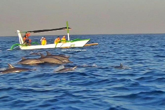Amazing Private Tours: Dolphins Lovina and Gitgit Waterfall include Lunch - Is $78.50 per person a fair price?