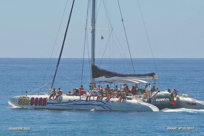 Amazing Skywalk, Wine Tasting & 4x4 Adventure + Dolphin Watching - Key points before you book