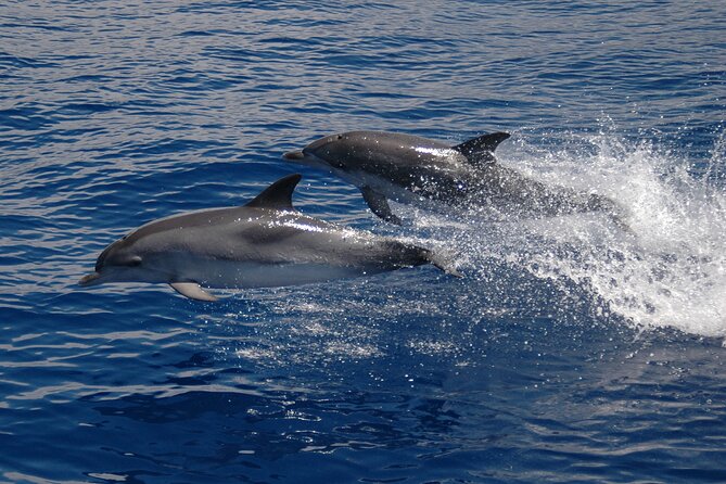 Amazing Skywalk, Wine Tasting & 4x4 Adventure + Dolphin Watching - Boca dos Namorados and views toward Nun’s Valley