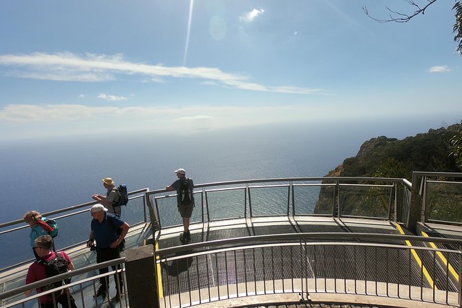 Amazing Skywalk, Wine Tasting & 4x4 Adventure + Dolphin Watching - Poncha, Madeira wine, and a local pause