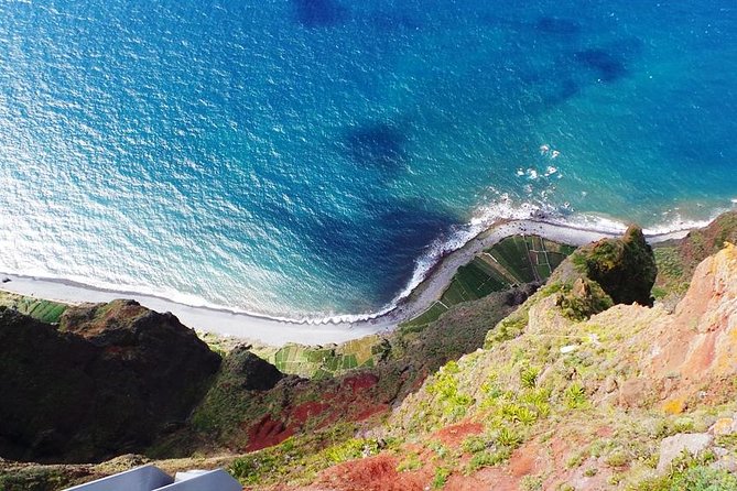 Amazing Skywalk, Wine Tasting & 4x4 Adventure + Dolphin Watching - The three-hour dolphin and whale cruise