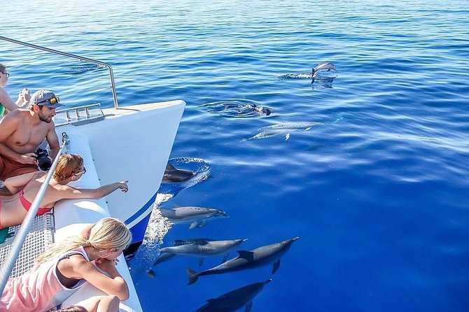 Among Whales Dolphins and Volcanoes Full Day Tour With Lunch - Lunch in Lagoa, with a local flavor