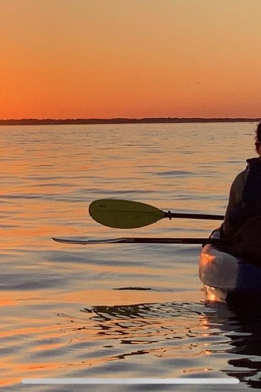 Anna Maria Island and Bradenton: Sunset Kayak Dolphin Tour - Key points to know before booking