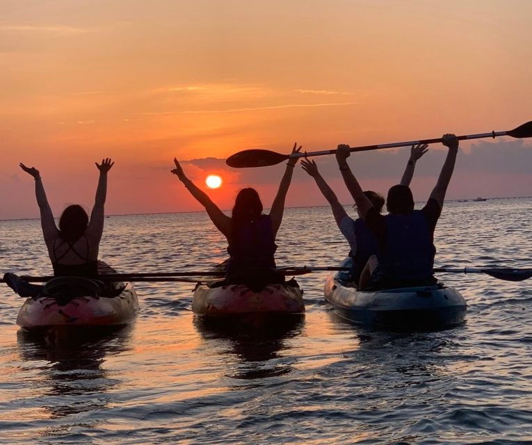 Anna Maria Island and Bradenton: Sunset Kayak Dolphin Tour - The guides make the difference