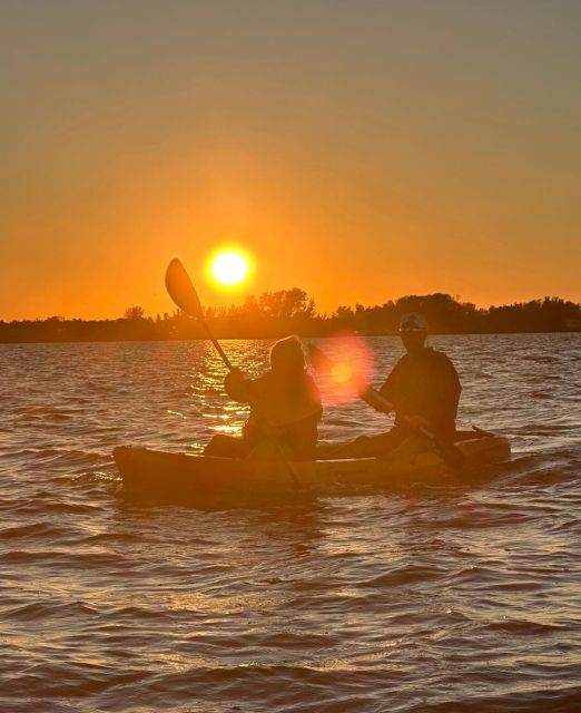 Anna Maria Island and Bradenton: Sunset Kayak Dolphin Tour - Kayak comfort and the effort involved