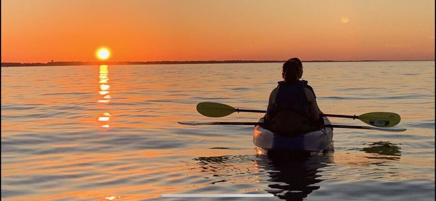 Anna Maria Island and Bradenton: Sunset Kayak Dolphin Tour - Who will enjoy this most?