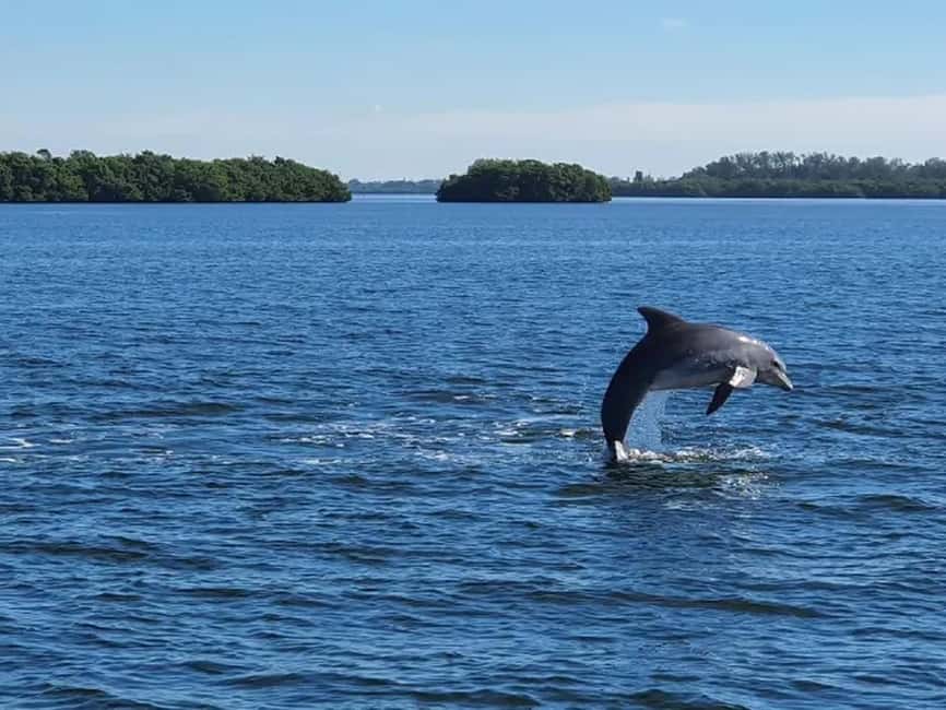 Anna Maria Island: Dolphin Cruise - Along the seven-mile beach