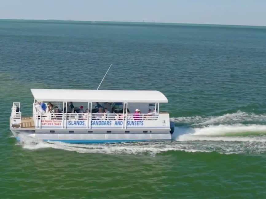 Anna Maria Island: Dolphin Cruise - Who will enjoy this two-hour outing?
