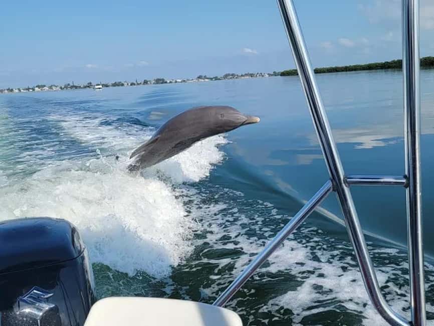 Anna Maria Island: Dolphin Cruise - Setting out from Holmes Beach