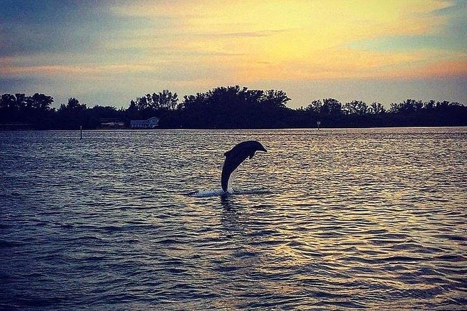 Anna Maria Island Dolphin Sunset Boat Tour - The honest catch: dolphin viewing is not always remote