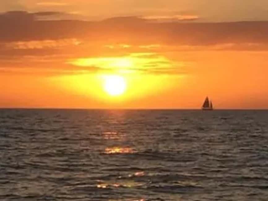 Anna Maria Island: Sunset Dolphin Cruise - Key points to know before you go
