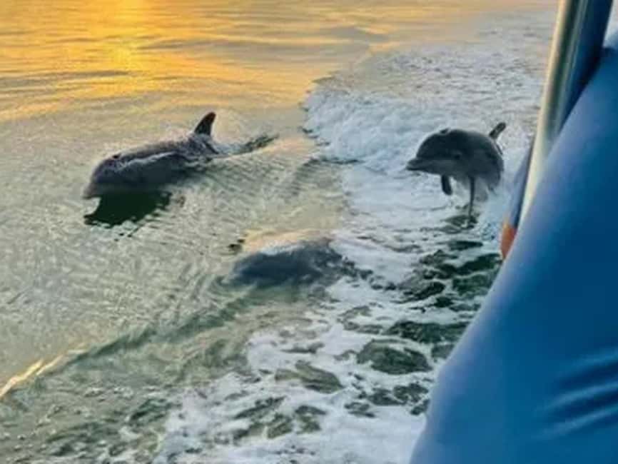 Anna Maria Island: Sunset Dolphin Cruise - Setting out around Anna Maria Island