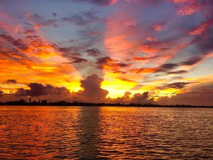 Anna Maria Island: Sunset Dolphin Cruise - Looking for dolphins, manatees, and birds