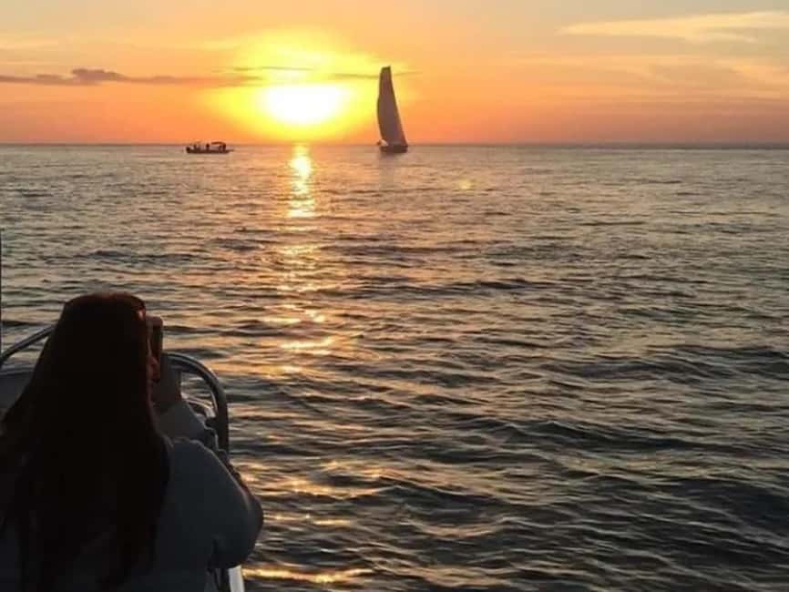 Anna Maria Island: Sunset Dolphin Cruise - Who will enjoy this cruise most?