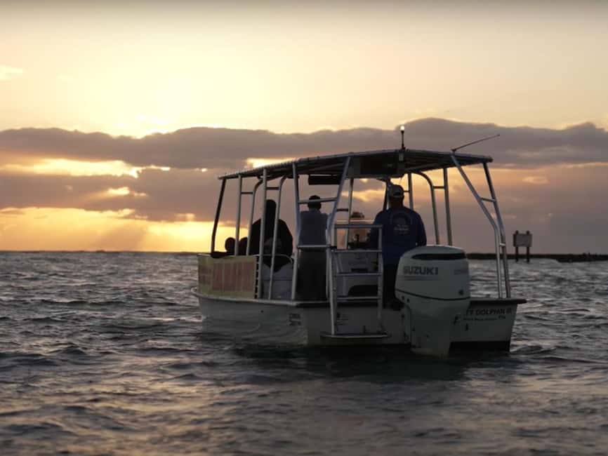 Anna Maria Island: Sunset Dolphin Cruise - Practical preparation for the evening